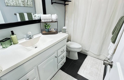 Tampa Apartment | Retro Modern Apartment central to Vibrant Tampa