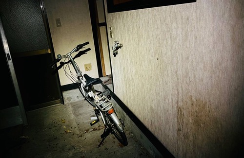 Hamura Apartment | RetroBB203 - Shirakkan 203 / Hamura Tokyo