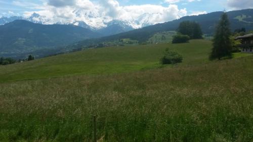 Combloux Apartment | Rez de chaussée très calme vue Mont-Blanc