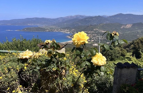 Calcatoggio House | Rez de Villa 5 min from the beach.15/20 min from Ajaccio