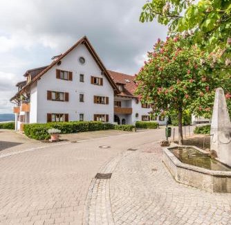 Ruhrberg Apartment | RH-Appartements 15 Minuten von Basel im Dorf Rührberg