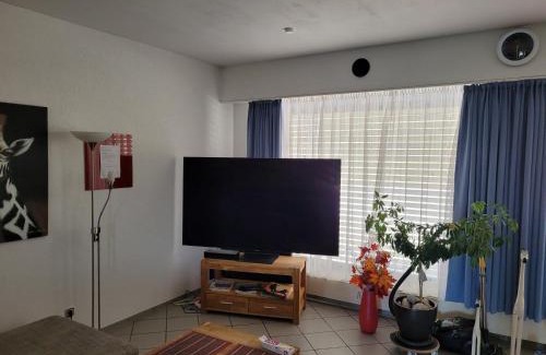 Waldshut-Tiengen Apartment | Rheinblick Waldshut 2