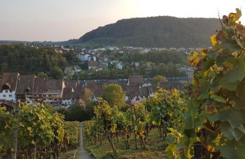 Eglisau Bed & Breakfast | Rhii B&B