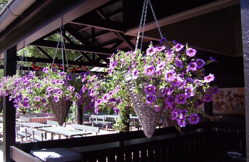 Ribe Apartment | Ribe Byferie Resort