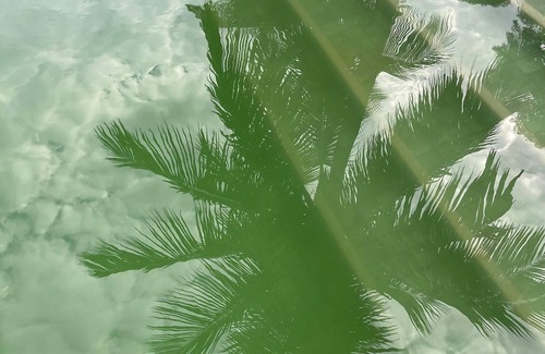 Retiro Resort | RICE ISLAND | Private Island Resort