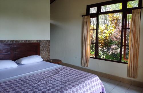 Ababi House | Rijasa Homestay