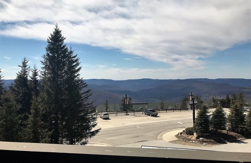 Snowshoe Condo | Rimfire 214 in Snowshoe