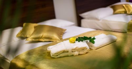 Rimske Toplice Hotel | Rimske Terme Resort - Hotel Zdraviliški dvor