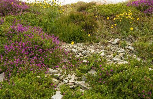 Valentia Island Apartment | Ring of Kerry - Einmaliger Blick auf Skelligs