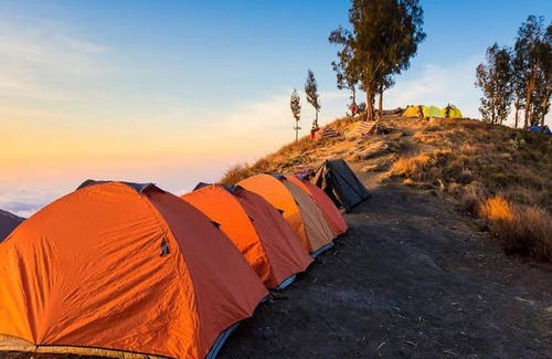 Bayan Other | Rinjani Booking