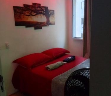Sao Cristovao Apartment | RIO DE JANEIRO São Cristóvão Klein