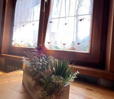 Auronzo di Cadore Apartment | Rio Muri Apartment - Close to the Cycle Path