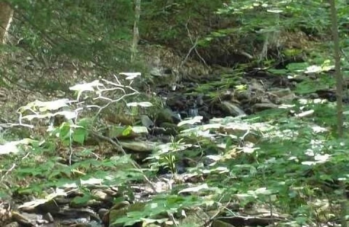Davis Ski Chalet | Rippling Waters is a very short walk to Timberline Mountain and Slopes!