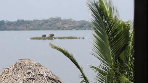 Pottuvil Division 2 Hotel | Rise & Set Arugam bay
