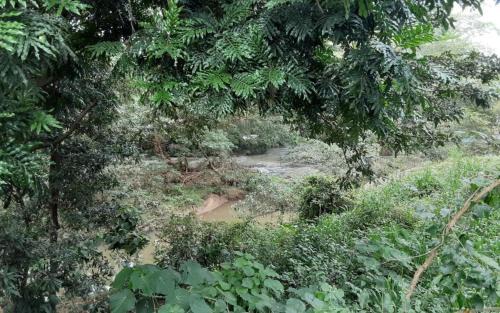 Udawalawa Cabin | River Forest Camp