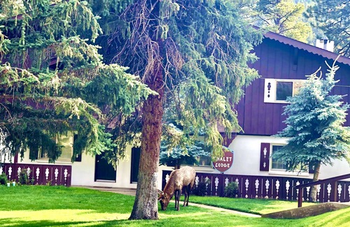 Estes Park Condo | River Front Cozy Condo near RMNP