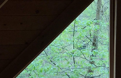 Prince Cabin | River Front property in the New River Gorge National Park on the New River