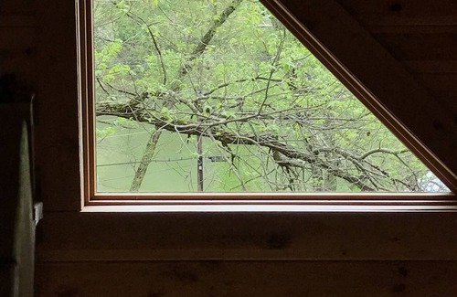 Prince Cabin | River Front property in the New River Gorge National Park on the New River
