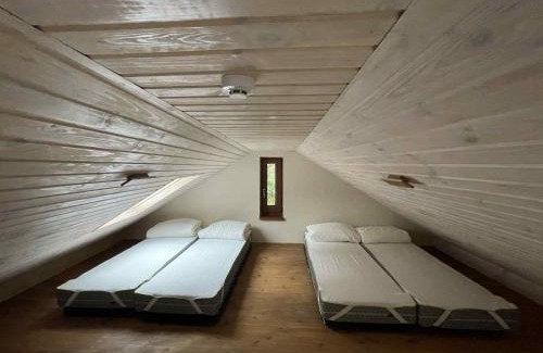 Anyksciai House | River Mind Villa with SPA
