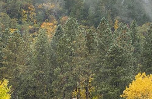 Grants Pass House | River's Edge Retreat/Close I-5