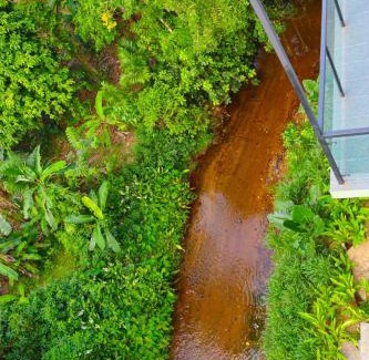 Palindanuwara Hotel | River View Lodge