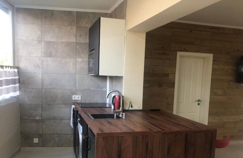 Hainburg Apartment | RIVER VIEW NEAR FRANKFURT - A