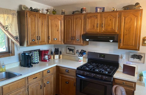 Harpers Ferry House | Riverfront Cabin with Access to Dock and Mississippi