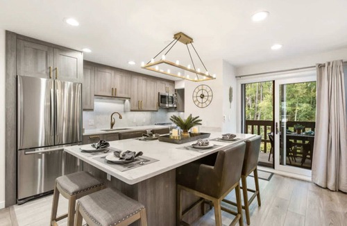 Aspen Condo | Riverfront Designer 2 BR, Walk to Gondola!