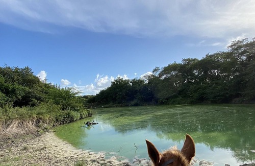 Orange Walk House | Riverlodge at The Mayan Garden