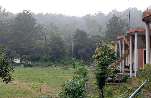 Ramnagar Cabin | Riverside Forest Retreat Camp, Corbett Jungle Inn , NH-309,Muhan,Dhikala Range opposite Mohan Eco Safari Zone Jim Corbett National Park Ramnagar