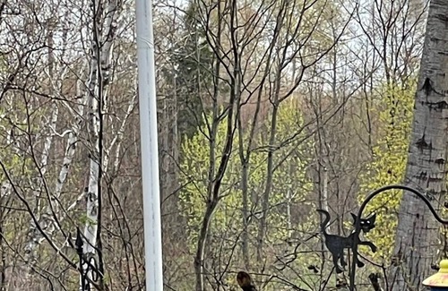 Sault Ste. Marie House | Riverviews near snowy trails