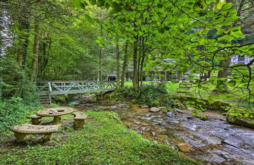 Roan Mountain House | Roan Mountain Creekside Cabin Hike and Fish!