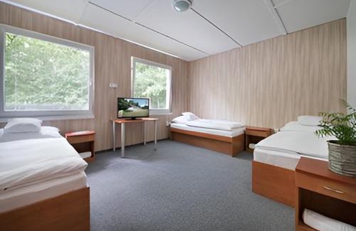 Tremosnice House | Rodinné chatky Kraskov
