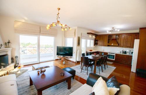 Dio-Olympos Villa | Rodon Apartment with Great View, Sauna and Jacuzzi