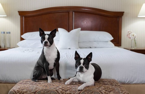 Medford Hotel | Rogue Regency Inn and Suites