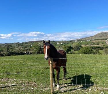 Achill Sound House | Rolling Hills