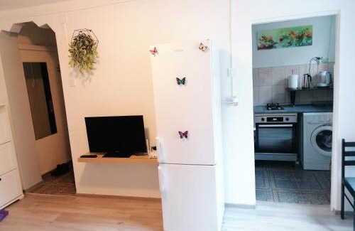 Deva Apartment | Romanilor - Studio First Floor