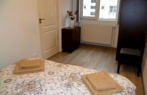 Deva Apartment | Romanilor - Studio First Floor