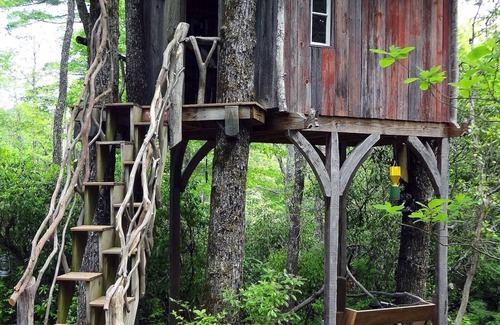Lake Toxaway Cabin | Romantic Bungalow - Hike to Dozens of Waterfalls