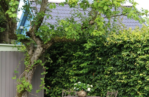 Hellenthal House | Romantic cottage is looking for you! -Wi-Fi, fireplace, infrared cabin