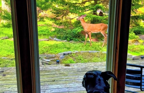 Tobyhanna House | Romantic Getaway @ Antler A Frame I Pet Friendly I Hot Tub I Projector I Firepit