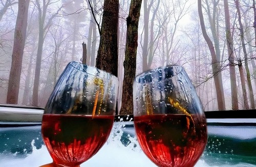 Tobyhanna House | Romantic Getaway @ Antler A Frame I Pet Friendly I Hot Tub I Projector I Firepit