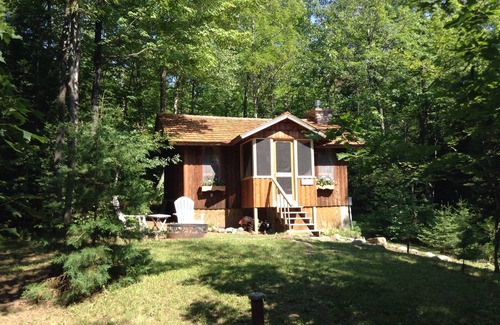Drummond Cabin | Romantic Log Cabin Nestled in Wooded Setting on Lake Wilipyro