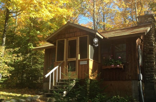 Drummond Cabin | Romantic Log Cabin Nestled in Wooded Setting on Lake Wilipyro