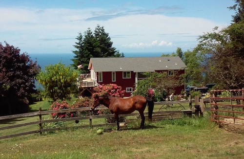 Brookings Cottage | Romantic Ocean View Cottage with Starry Night Sky Gazing!
