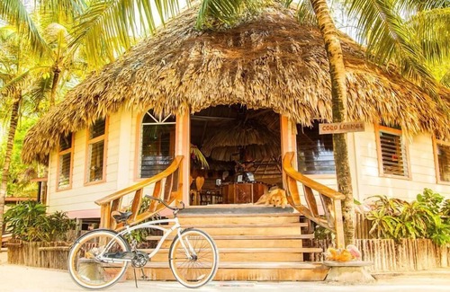 Thatch Caye House | Romantic Oceanfront Cabana w/En-Suite Bath, A/C, & Incredible Ocean Views