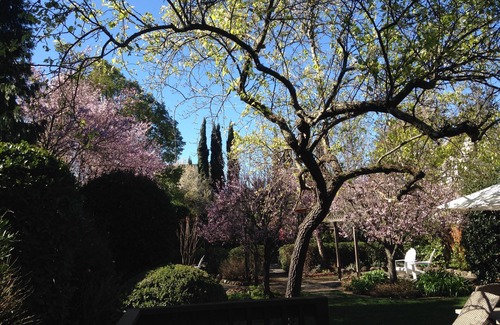 St. Helena House | Romantic, Private Jewel - 3 blocks from Downtown St.Helena in the Napa Valley