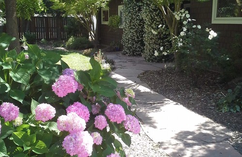 Sonoma Cottage | Romantic Sonoma Cottage On 1 Acre in Wine Country