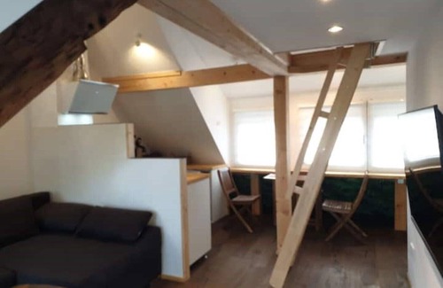 Zeltingen-Rachtig Apartment | Romantic Studio 4 Rosenburg view near the Moselle
