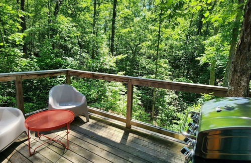Mill Spring House | Romantic treehouse nestled on the creek, private deck, loft bedroom, shower skylights, bridge, sleeps 3.